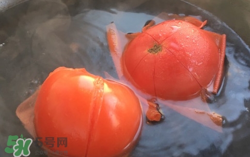 番茄怎么去皮？如何給番茄去皮