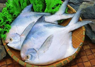 蠶豆和魚(yú)能一起吃嗎？蠶豆和魚(yú)吃相克嗎？