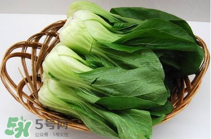 雞毛菜怎么種？雞毛菜的種植方法