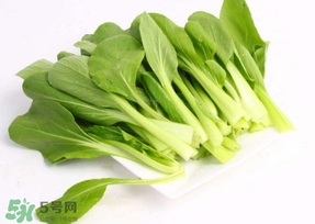 雞毛菜怎么種？雞毛菜的種植方法
