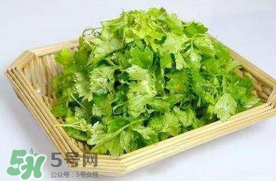 芹菜葉能吃嗎？芹菜葉可以吃嗎