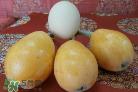 枇杷是什么季節(jié)的水果？枇杷什么季節(jié)吃