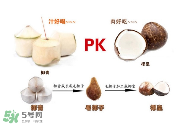 椰子怎么打開？椰子殼怎樣打開