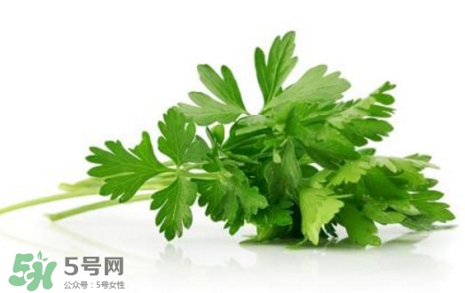 芹菜葉能吃嗎？芹菜葉可以吃嗎