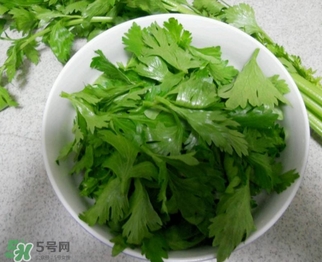 芹菜葉能吃嗎？芹菜葉可以吃嗎