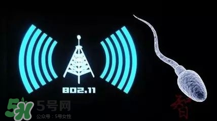 wifi殺精嗎？wifi殺精是真的嗎？