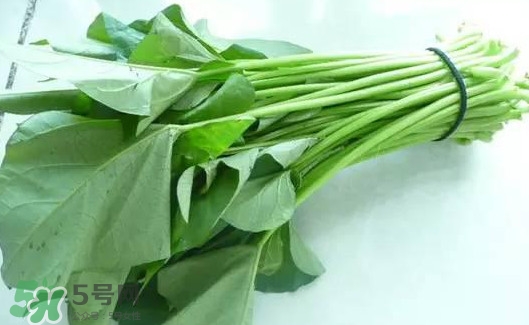苕尖怎么炒？苕尖的做法