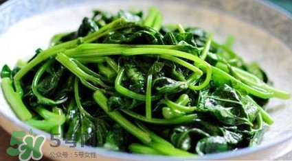 苕尖是發(fā)物嗎？苕尖是不是發(fā)物