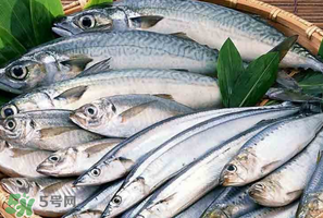 2017鲅魚(yú)多少錢(qián)一斤？鲅魚(yú)多少錢(qián)一斤2017？