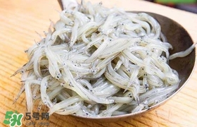 銀魚是面條魚嗎？面條魚和銀魚的區(qū)別
