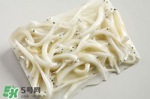 面條魚是什么魚？面條魚是海水魚嗎
