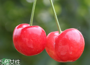 櫻桃籽有毒嗎？櫻桃籽能吃嗎？