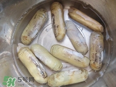 怎么樣讓蟶子吐沙？如何讓蟶子吐沙