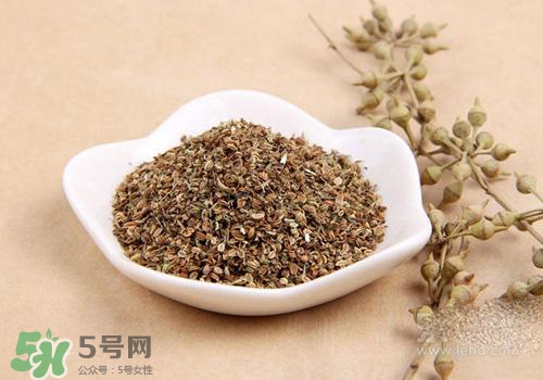 吃中藥可以吃魚？吃中藥吃魚會怎么樣？