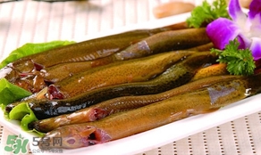 泥鰍是發(fā)物嗎？泥鰍是不是發(fā)物