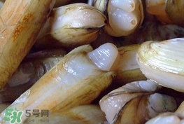 蟶子是海鮮嗎？蟶子是海鮮還是河鮮