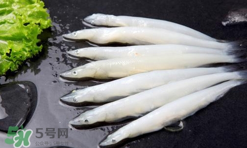 面條魚有刺嗎？面條魚有鱗嗎