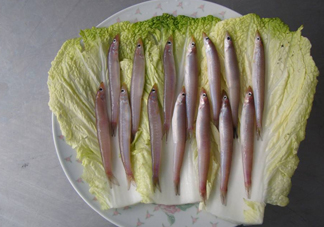 青島面條魚(yú)是什么魚(yú)？青島面條魚(yú)叫什么