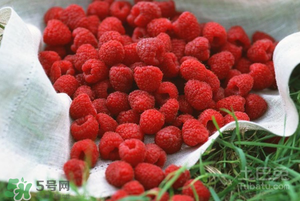 刺泡怎么保存？刺泡保存方法