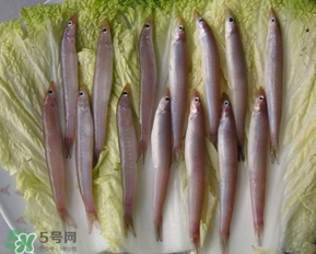 青島面條魚是什么魚？青島面條魚叫什么