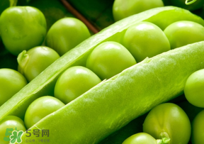 豌豆能放在冰箱嗎？豌豆放冰箱怎么保存？