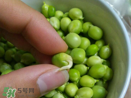 新鮮豌豆發(fā)芽了能吃嗎？豌豆發(fā)芽了還能吃嗎？