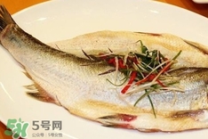 白條魚怎么做好吃？白條魚怎么吃好吃