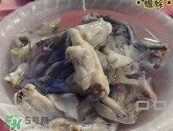 癩蛤蟆能吃嗎？癩蛤蟆可以吃嗎