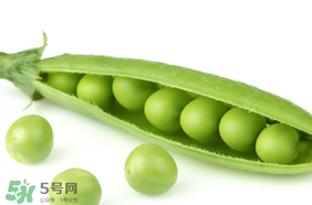 生豌豆有毒嗎？豌豆生吃有毒嗎？