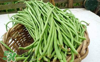 缸豆是豆角嗎？缸豆和豆角有什么區(qū)別