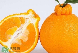丑八怪水果多少錢(qián)一斤？不知火雜柑一斤多少錢(qián)
