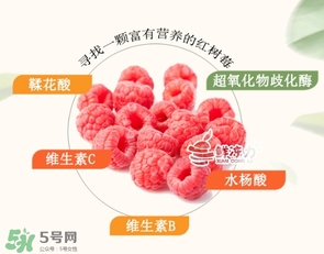 樹莓怎么保存？樹莓保存方法