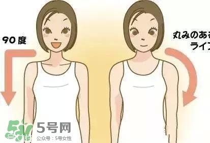 天鵝臂是什么？天鵝臂有用嗎