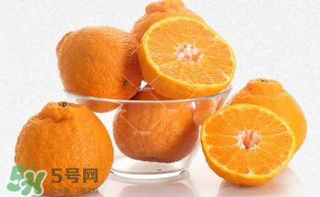 丑八怪水果多少錢(qián)一斤？不知火雜柑一斤多少錢(qián)