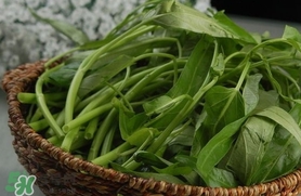 夏天種什么蔬菜？夏天適合種什么蔬菜