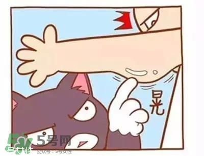 天鵝臂是什么？天鵝臂有用嗎