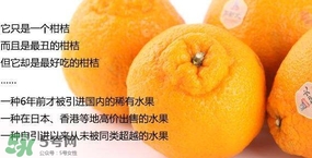 丑八怪水果多少錢(qián)一斤？不知火雜柑一斤多少錢(qián)