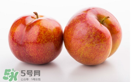 三華李孕婦可以吃嗎？三華李孕婦能吃嗎