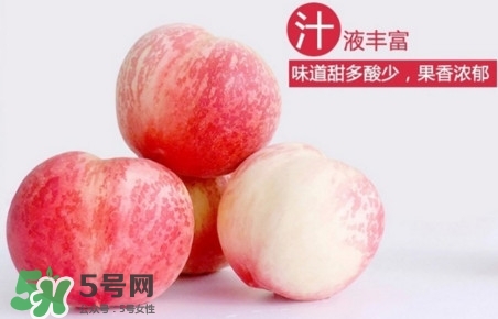 水蜜桃什么時(shí)候熟？水蜜桃成熟時(shí)間
