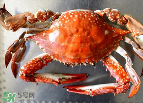 六月份有螃蟹嗎？六月份吃什么螃蟹？