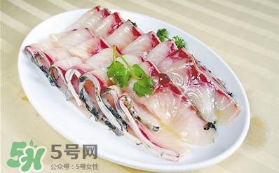 生魚是什么魚？生魚片是什么魚