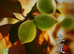 立夏吃什么水果？立夏吃什么水果好？