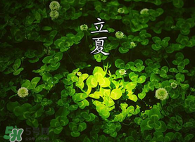 立夏吃什么水果？立夏吃什么水果好？