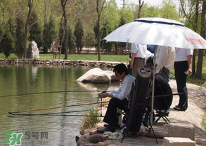 立夏好釣魚嗎？立夏怎么釣魚？