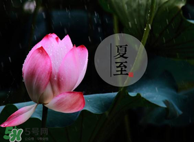 立夏和夏至有什么區(qū)別？立夏和夏至的區(qū)別