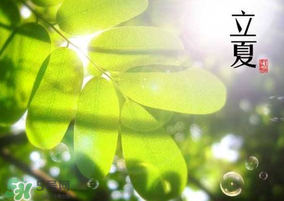 立夏和夏至有什么區(qū)別？立夏和夏至的區(qū)別