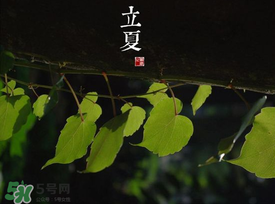 2017年立夏會(huì)下雨嗎？2017年立夏下雨好嗎？