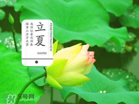 2017年立夏會(huì)下雨嗎？2017年立夏下雨好嗎？