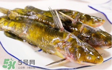 嘎魚怎么做最好吃？嘎魚的做法大全
