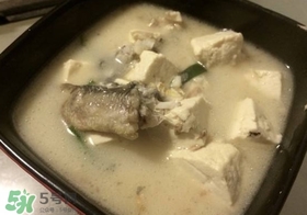 黑魚(yú)能和豆腐一起吃嗎？豆腐可以和黑魚(yú)一起吃嗎